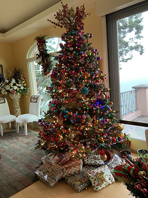 Joy to the world!