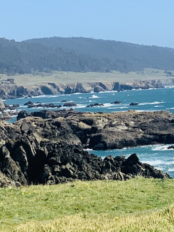 California coastline at Sea Ranch