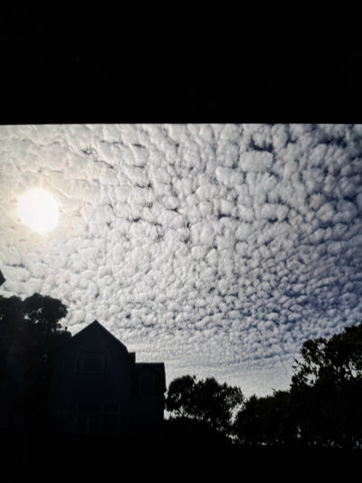 Cotton candy sky over Sausalito