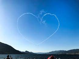 Snowbirds