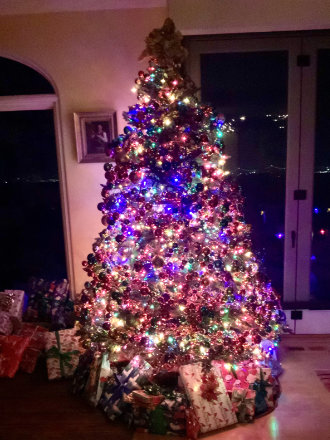 My Christmas tree pre-havoc